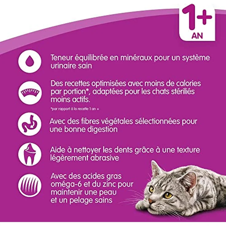 Whiskas 1+ Sterile Huhn, Trockenfutter für kastrierte Katzen, 14 kg, mit hohem Proteingehalt und Zahnpflegeformel – Bild 2