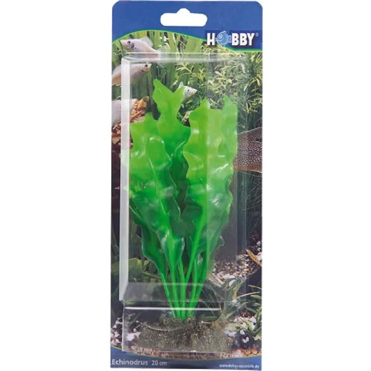 HOBBY Aquariendeko Echinodrus, 20 cm künstliche Aquariumpflanze mit naturgetreuer Bewegung und stabilem Felsen-Bodenständer