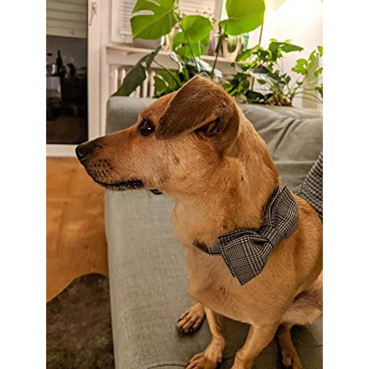 Unique Style Paws Hundehalsband mit Fliege, verstellbar, XL-Größe, aus Baumwolle, für Hunde und Katzen – Bild 5