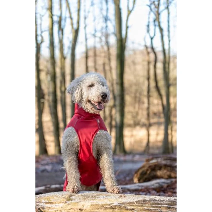 Trixie Regenmantel Vimy (S, Hundemantel), Hundebekleidung – Bild 7