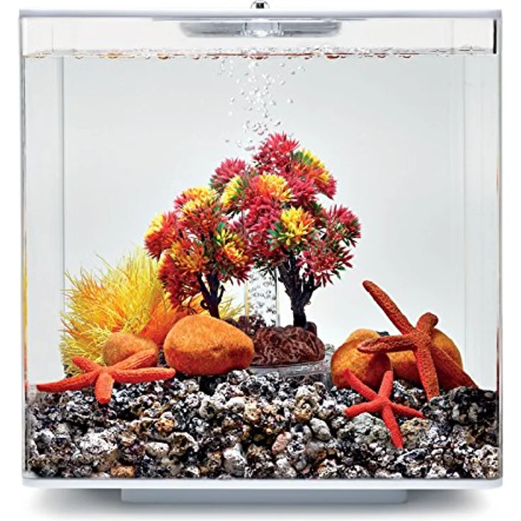 biOrb Decor Set 15L Herbst (55024) – Bild 2