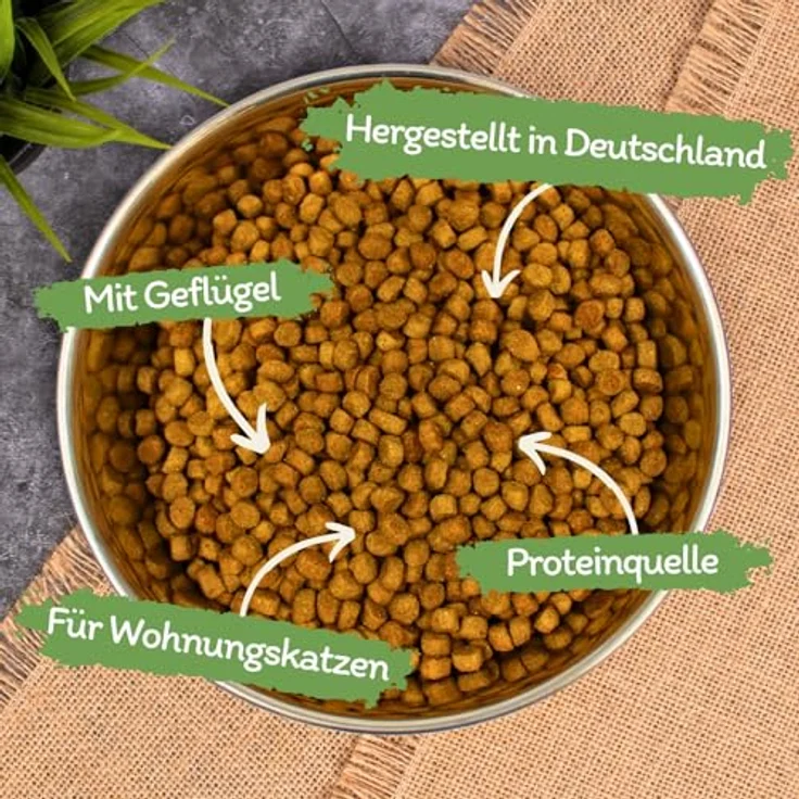 Lyra Pet Lecker.Pet® Balu's Indoor Geflügel Katzen Trockenfutter, 2,5 kg, glutenfreies, vitaminreiches Alleinfutter für ausgewachsene Katzen, nährstoffreiche Proteinquelle – Bild 2