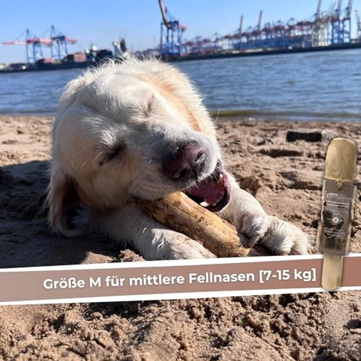 ZOYS Kaffeeholz für Hunde, Natürlicher Kauknochen M für Zahnreinigung & Beschäftigung, langlebig & koffeinfrei – Bild 3