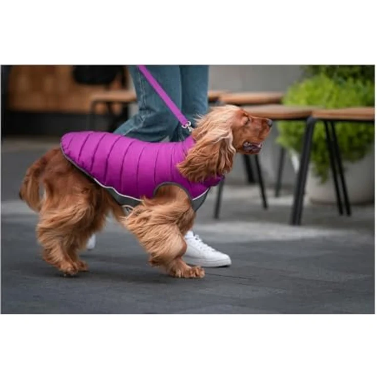 Red Dingo Wendbarer Puffer Mantel für Hunde, hochwertiges Material, ideal für kalte Tage – Bild 3