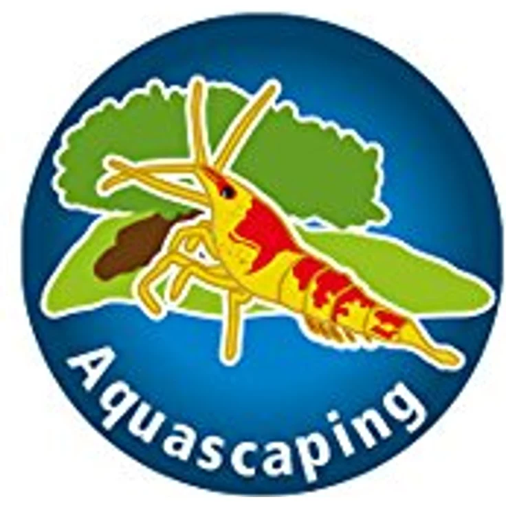 Dupla Plant 24, Wasserpflanzendünger 50 ml für 50.000 Liter, ideal für Aquarienpflanzen, mit Eisen und Spurenelementen, pH neutral, phosphatfrei – Bild 2