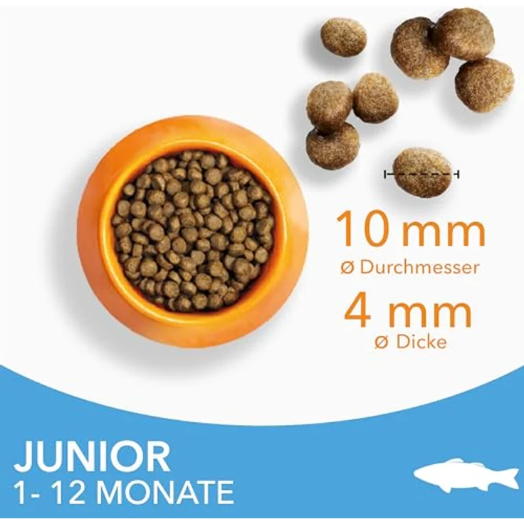 IAMS for Vitality Junior Katzenfutter mit Fisch, Trockenfutter für Kätzchen 1-12 Monate, 10 kg, reich an tierischen Proteinen, weizenfrei, unterstützt gesunde Entwicklung und glänzendes Fell – Bild 2