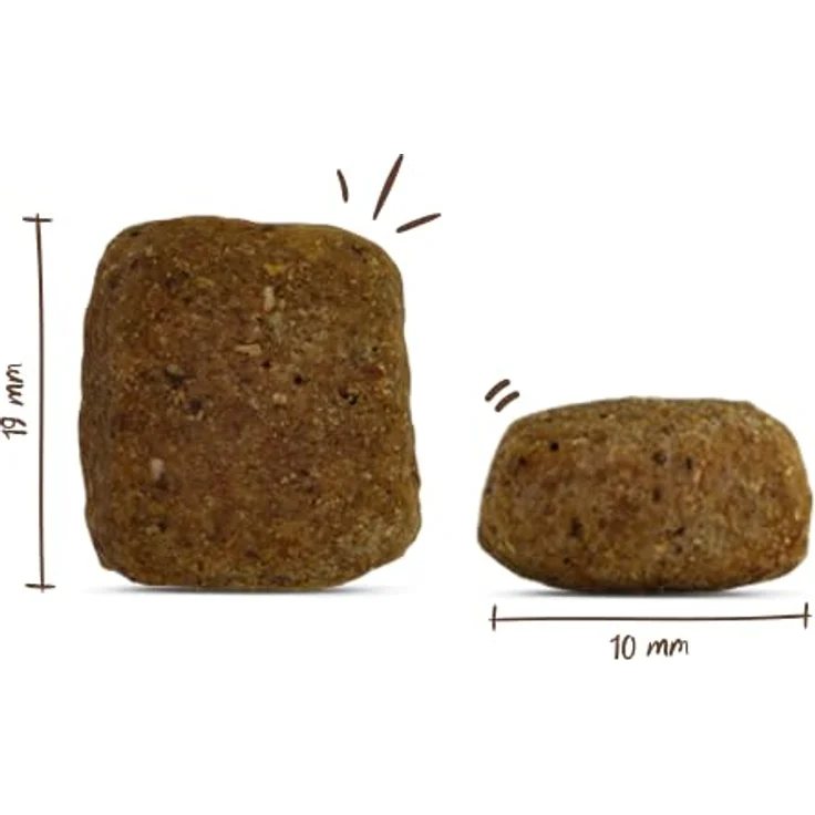 Bosch Maxi Senior, Hundefutter für ältere Hunde mit 25% frischem Geflügel und 18% Reis, 12,5 kg – Bild 3