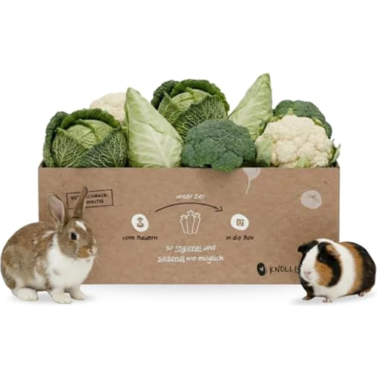Knollenliebe Kohl-Lover Kleintierbox 3 kg, Frischfutter-Mischung aus Wirsing, Chinakohl, Brokkoli & Kohlrabi-Blättern für Kaninchen und Meerschweinchen – Bild 1