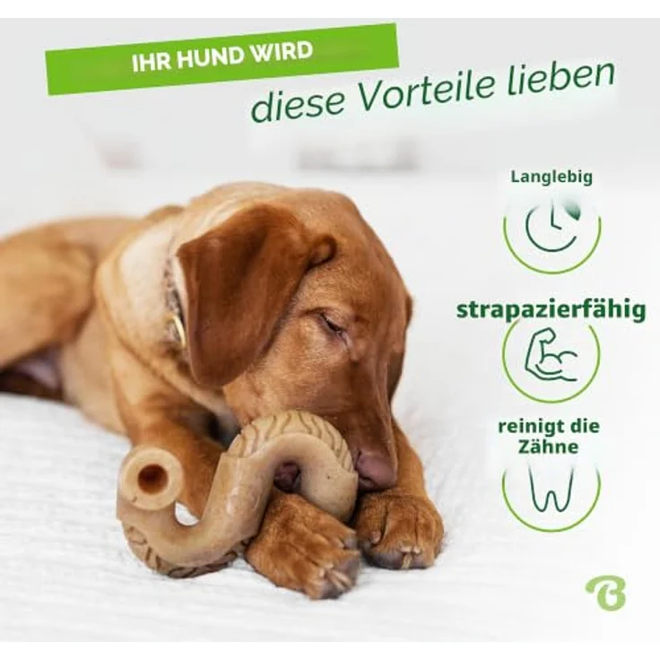 Benebone Tripe Bone, Langlebiges Kauspielzeug für Aggressive Kauer aus echten Kutteln, Medium – Bild 3