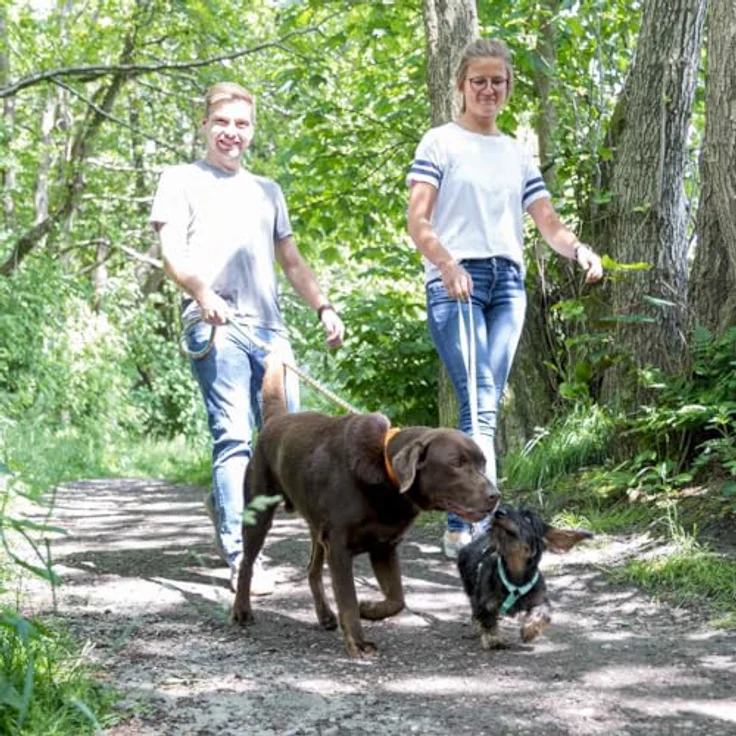 TRIXIE Hundeleine Leine Cavo rot, strapazierfähig und sicher – Bild 6