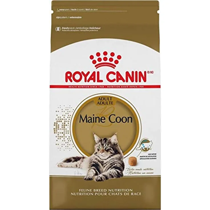 Royal Canin Maine Coon 31, Katzen-Trockenfutter für große Rassen, 10 kg