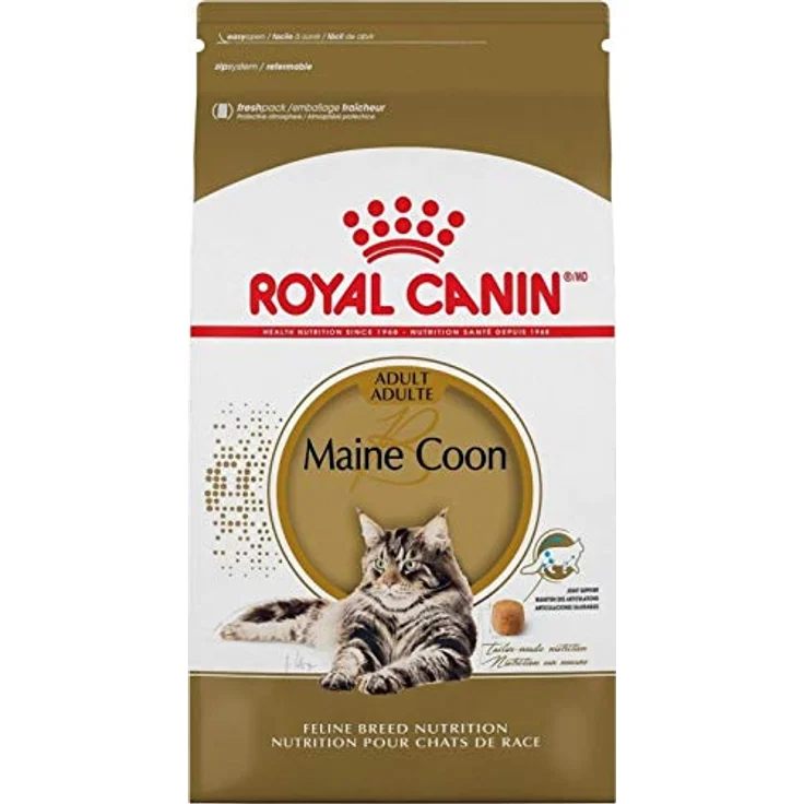 Royal Canin Maine Coon 31, Katzen-Trockenfutter für große Rassen, 10 kg – Bild 1