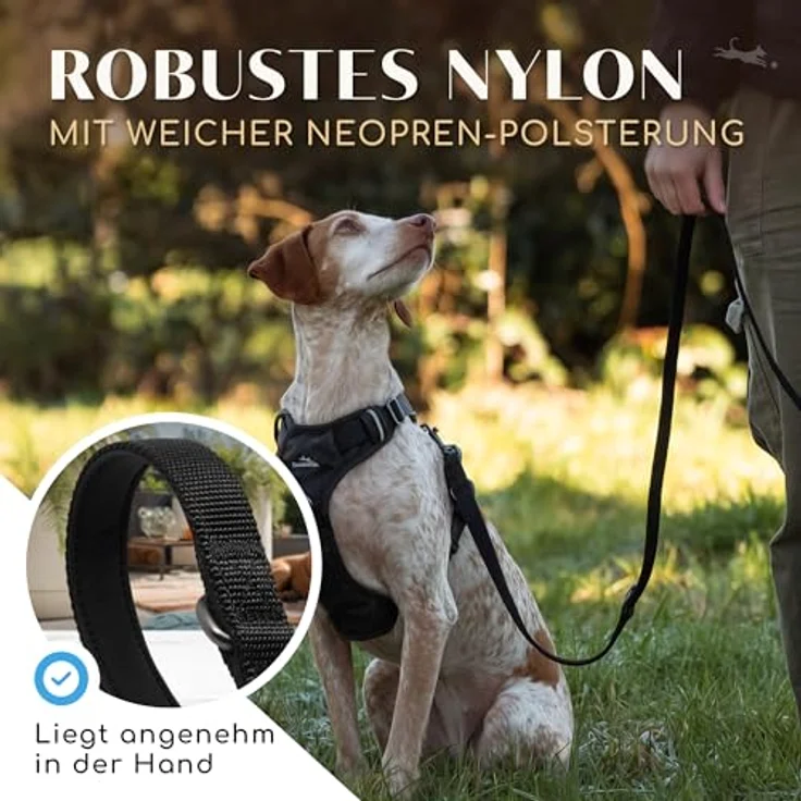 FREUDENTIER Hundeleine 2m Clyde, verstellbare Führleine für mittelgroße & große Hunde, schwarz, weich gepolstert, reflektierend, 25mm breit – Bild 3