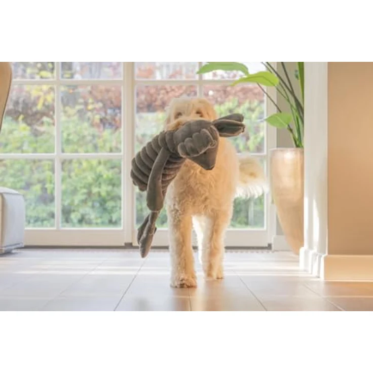 Designed by Lotte Plüsch Reza Maus, 67 cm großes Hundespielzeug mit komfortablem Design – Bild 3
