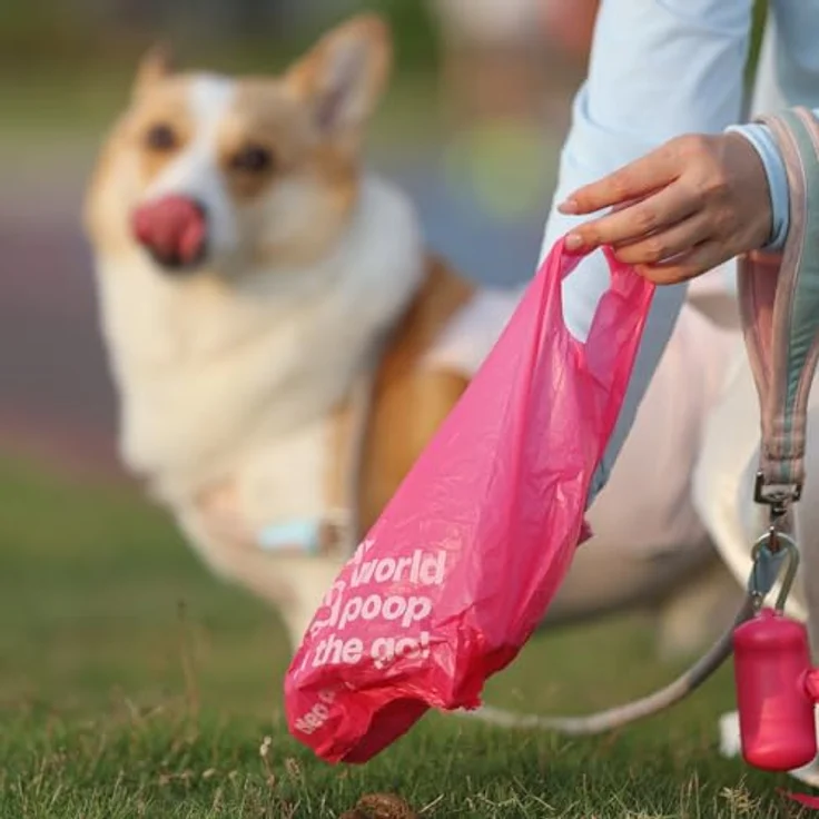 Deo Doo Hundekotbeutel, mit Henkel, Rose Duft, 360 Stück, 30 Rollen, aus recyceltem Material, 50% Speisestärke, auslaufsicher – Bild 5