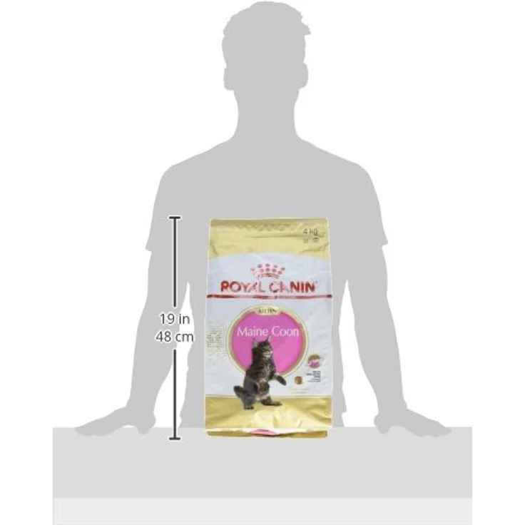 Royal Canin Feline Kitten Maine Coon 36, Katzen-Trockenfutter für gesunde Entwicklung, 4 kg – Bild 3