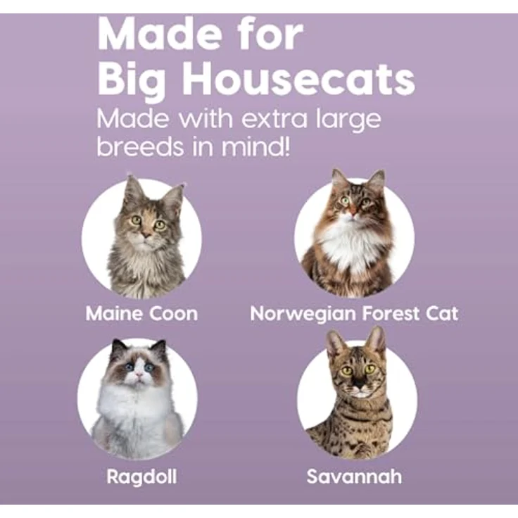 Iris Ohyama CLH-XL, XXL Katzenklo mit hohem Rand, Schwarz, für große Katzen und zwei Katzen, abnehmbare Ränder, Auslaufschutz, einfache Reinigung, BPA-frei – Bild 4