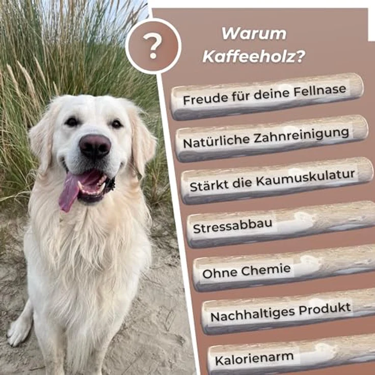 Zoys® Kaffeeholz für Hunde, Natürlicher Kauknochen L, 3 Stück – langlebig, splitterarm, fördert Zahngesundheit & Beschäftigung – Bild 5