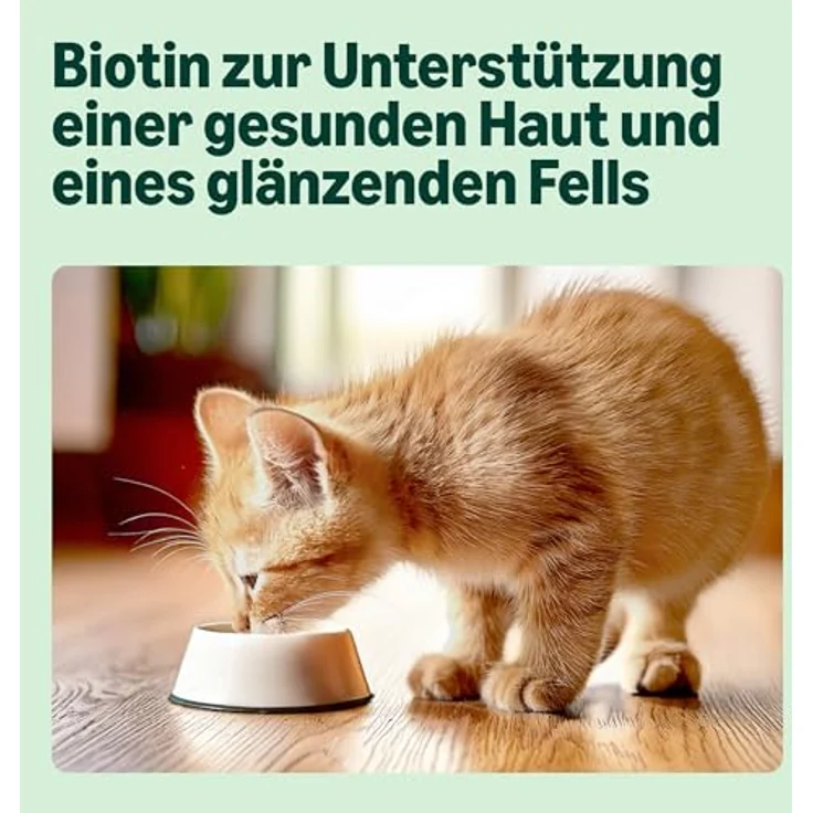 by Amazon Katzenfutter, nass für junge Katzen, gemischte Auswahl in Gelee (3 x Lachs, 3 x Kalb, 3 x Geflügel, 3 x Truthahn), 1.2kg (12 Beutel à 100g) – Bild 4