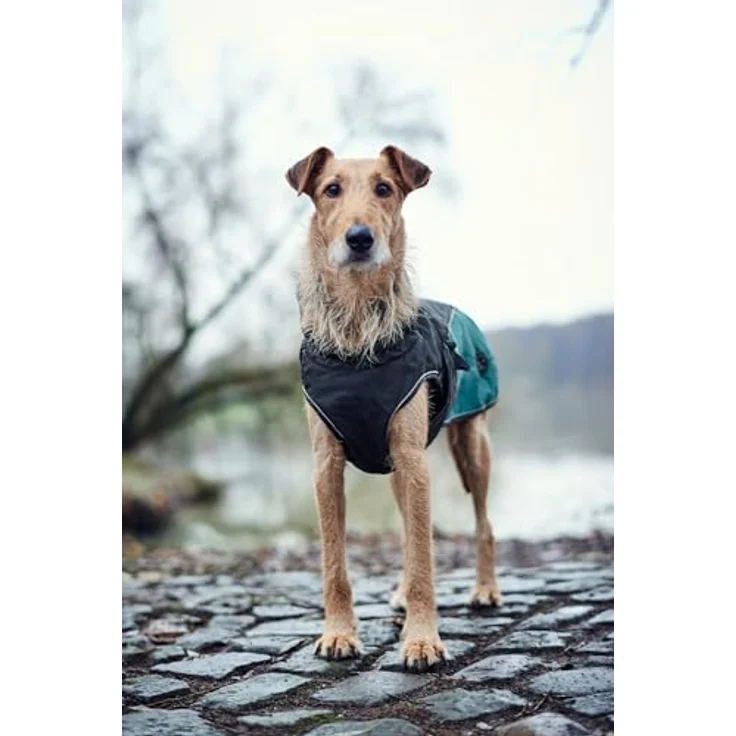 Hunter Hunde-Mantel Uppsala Allrounder anthrazit-petrol 40 cm – Bild 9