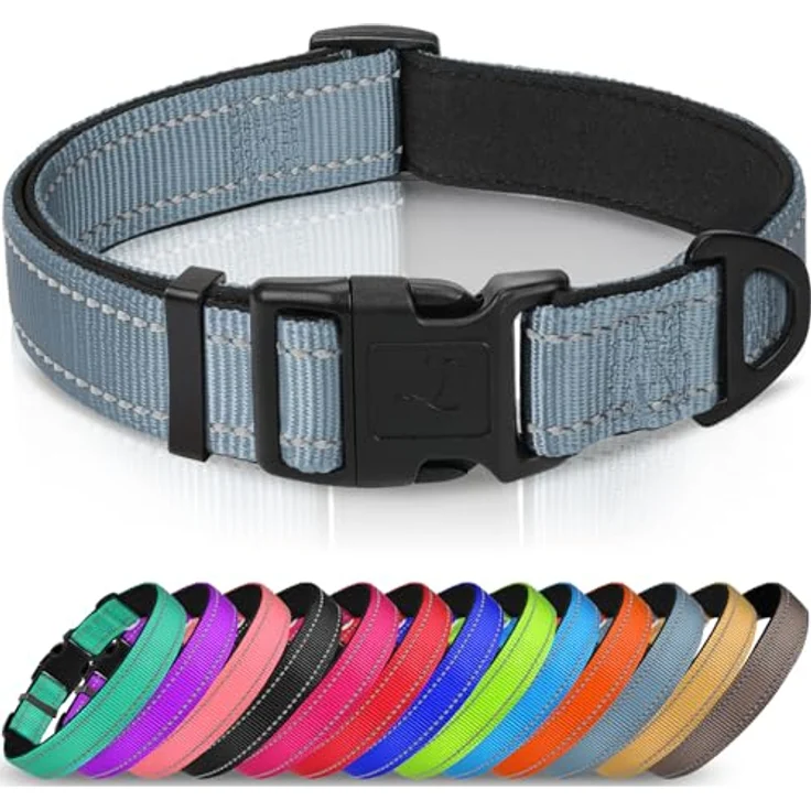 Joytale Gepolstertes Hundehalsband aus Neopren Nylon, Verstellbar, Weich und Reflektierend, S, Grau, für Kleine Hunde – Bild 1