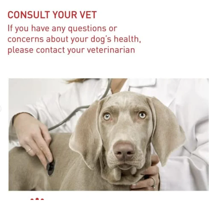 Royal Canin Light Weight Care Maxi, Trockenfutter für große Hunde mit reduziertem Fettgehalt und Gelenkunterstützung, 12 kg – Bild 9