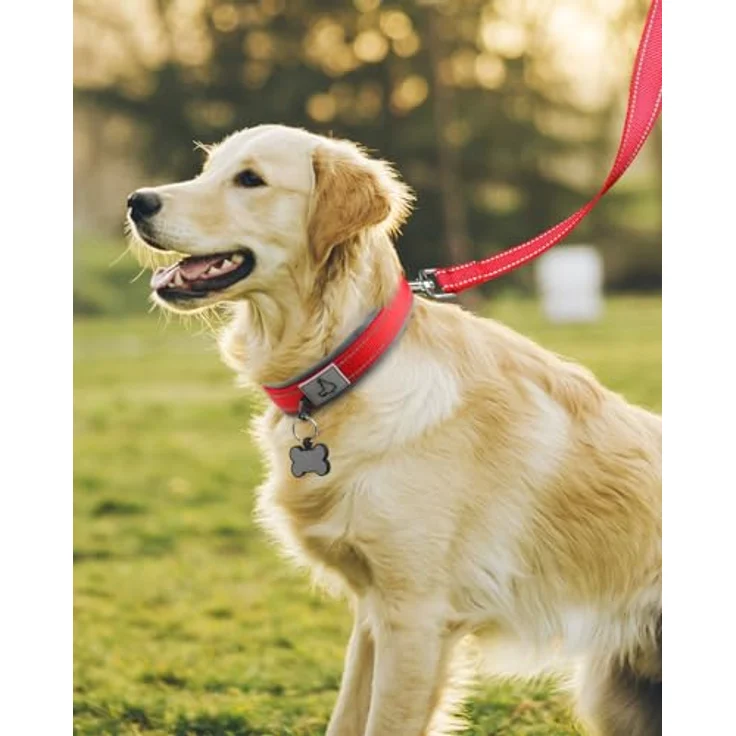 Joytale Gepolstertes Neopren Hundehalsband für Große Hunde, Reflektierend, Nylon, Breit, Rot – Bild 3