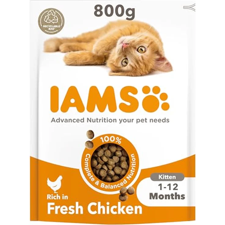 IAMS Katze Junior Huhn, Trockenfutter für junge Katzen, 800g – Bild 1