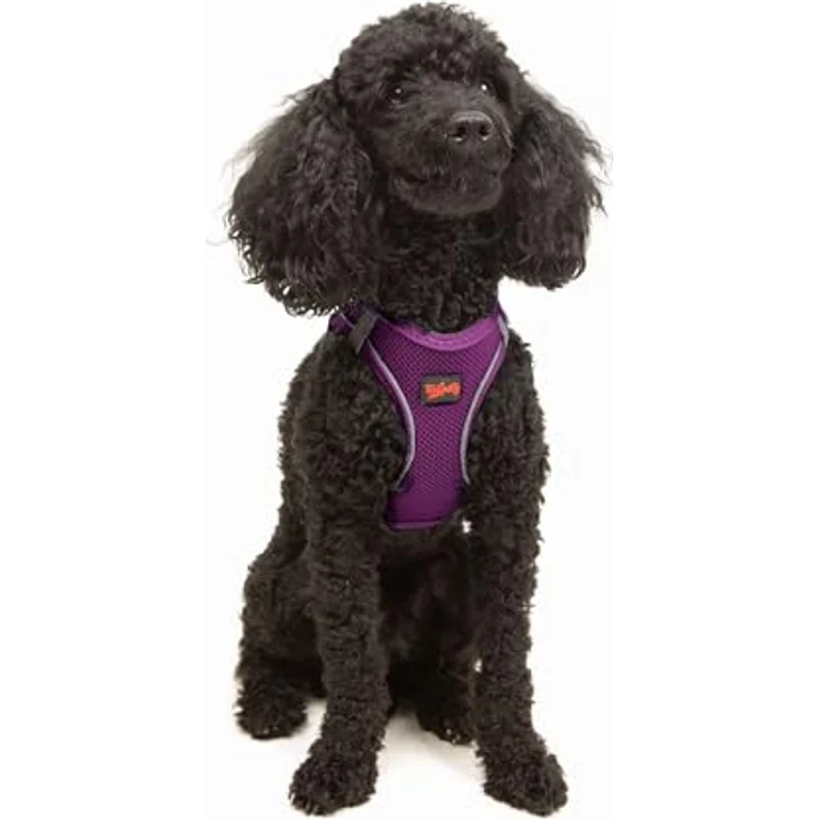 Tailpetz Air-Mesh Brustgeschirr für kleine und mittelgroße Katzen und Hunde – Weich, Atmungsaktiv, Strapazierfähig, Violett, XS (Brustumfang 35,5–40,5 cm) – Bild 1