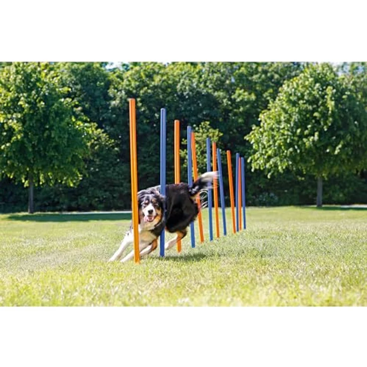 Trixie Dog Activity Agility Slalom, Kunststoff 115xø 3 cm, 12 St. blau-orange – Bild 3