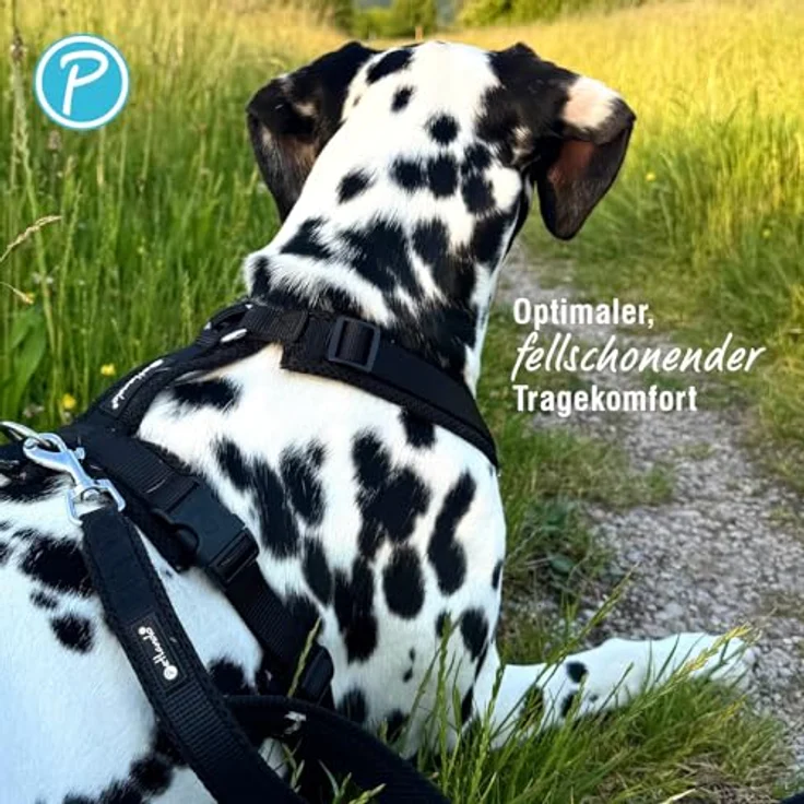 Petlando Brustgeschirr Mesh Y-Comfort in Schwarz, atmungsaktiv und pflegeleicht – Bild 5