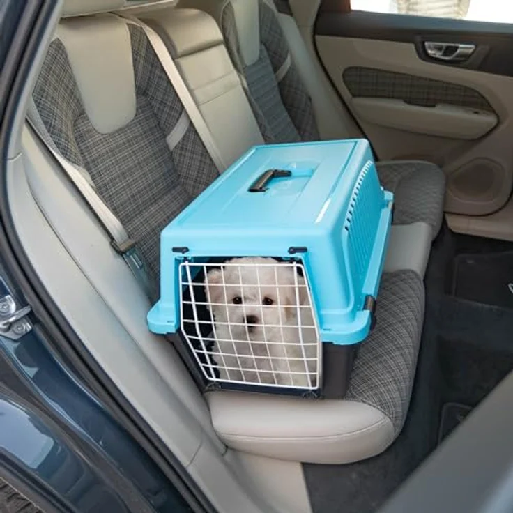 Ferplast ATLAS 20 EL, Transportbox für Katzen und kleine Hunde bis 8 kg, Hartschale mit plastifizierter Eisentür und Lüftungsschlitzen, 37 x 58 x H 32 cm, Hellblau – Bild 3