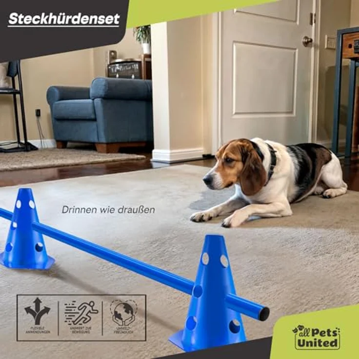 all Pets United® Agility Set Hunde, 3X Steckhürde 100cm mit flexibler Höhenanpassung, wetterfest und sicher für Hundesport – Bild 3