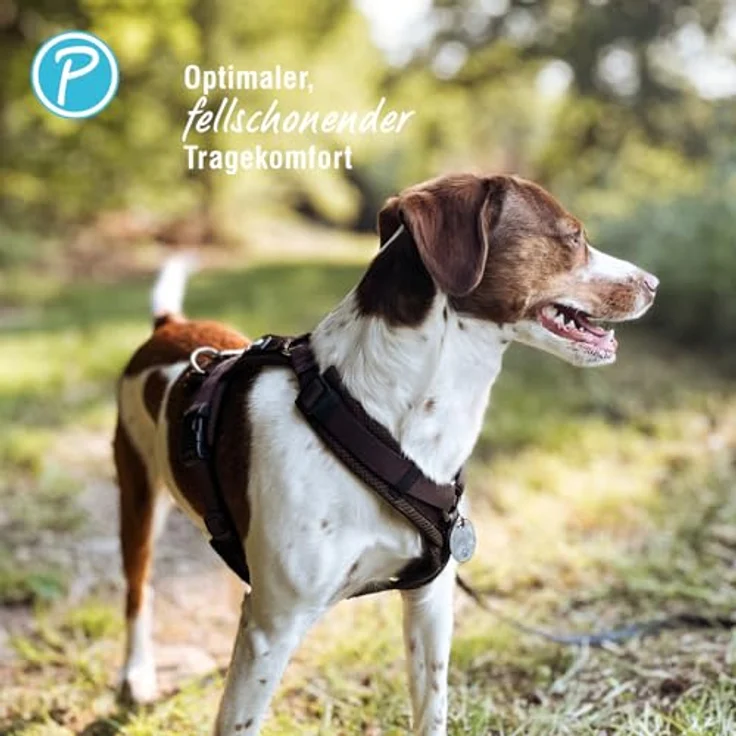Petlando Hundegeschirr Y-Comfort, gepolstert, stufenlos verstellbar, atmungsaktiv, ergonomisch, für kleine Hunde, Mokka, Größe S – Bild 4