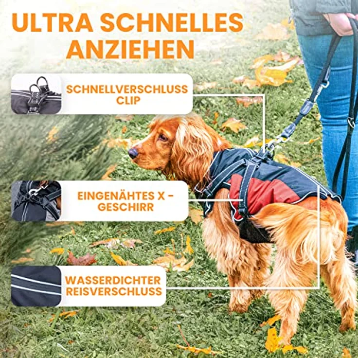 Tierhood Regenmantel Hund, wasserdicht mit integriertem Geschirr, reflektierende Regenjacke für kleine Hunde, optimale Passform und Sicherheit bei Dunkelheit – Bild 2