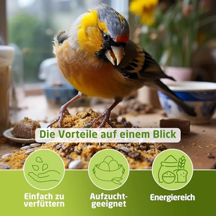 Eggersmann volaris Vogelfutter Wildvögel ganzjährig 25 kg, fettreiches Streufutter für alle Vogelarten, Nährstoffreich und einfach zu verfüttern – Bild 3