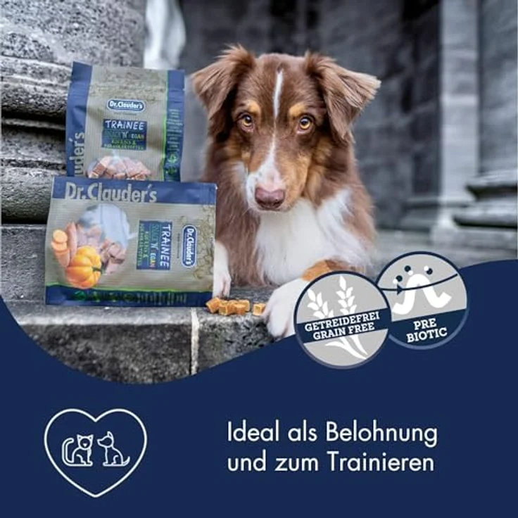 Dr.Clauder's Trainee Snack Vegan Kürbis & Süßkartoffel, proteinreiche, getreidefreie Hundesnacks mit Erdnussbutter, 80g Frischebeutel – Bild 2