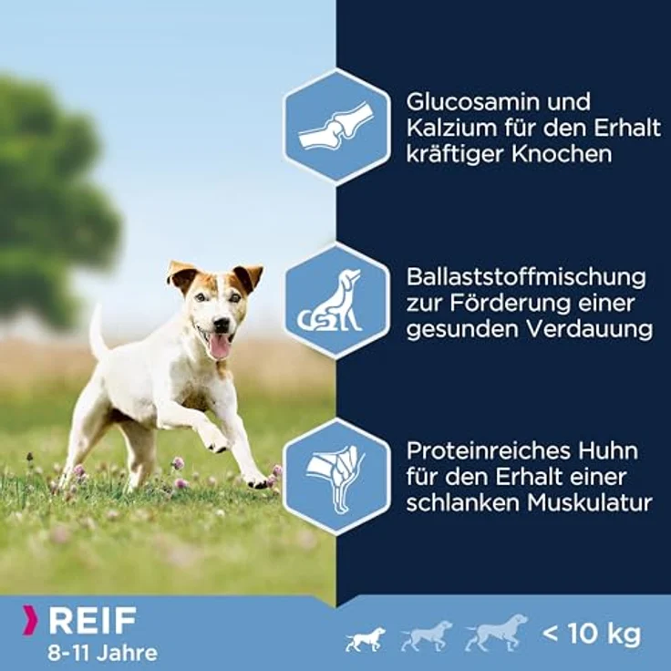 Eukanuba Hundefutter mit frischem Huhn für kleine Rassen, Premium Trockenfutter für reife Hunde, 3 kg, ideal für gesunde Gelenke und kräftige Muskulatur – Bild 4