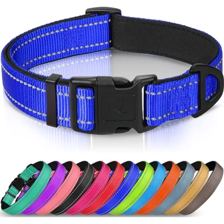 Joytale Gepolstertes Hundehalsband, Breit aus Neopren Nylon, Verstellbar für Mittelgroße Hunde, Weich und Reflektierend, M, Königsblau – Bild 1
