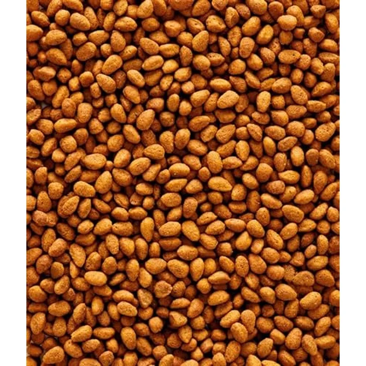 Versele-Laga Nutribird G14 Original, Pellets für Großsittiche mit Präbiotika, 1 kg, ausgewogene Rezeptur mit Vitaminen und Mineralstoffen – Bild 3