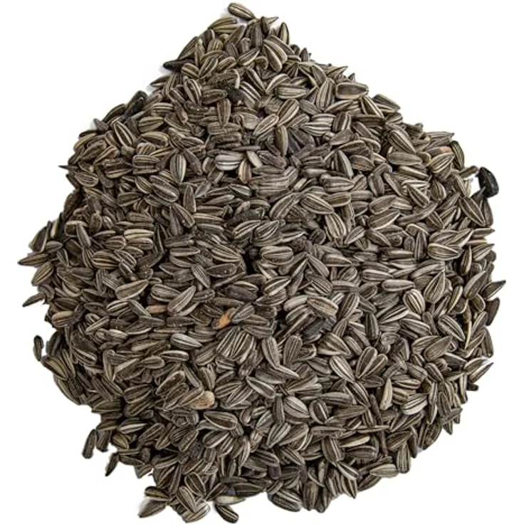 Futterhof Gestreifte Sonnenblumenkerne, 25 kg, ideales Ganzjahresfutter für Körnerfresser – Bild 3