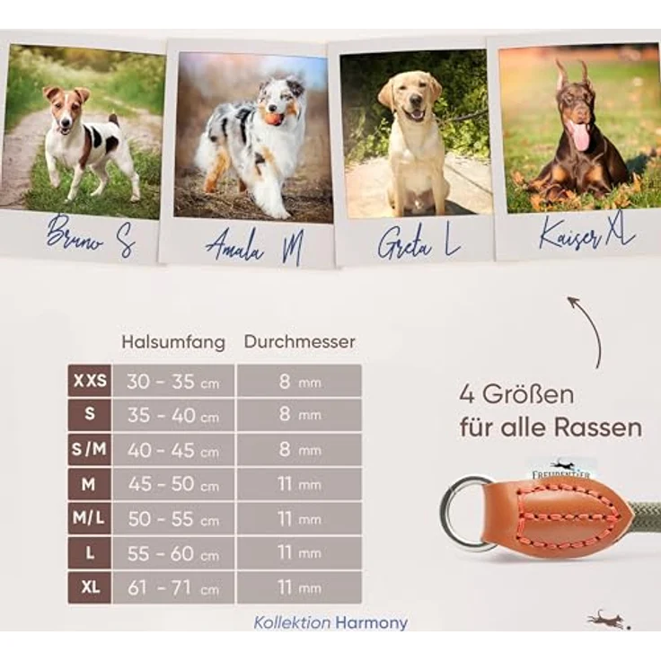 FREUDENTIER Zugstopp Halsband für Hunde, extra starkes Retriever Halsband in Waldgrün, XL, robust und langlebig, ideal für kleine bis große Hunde – Bild 2