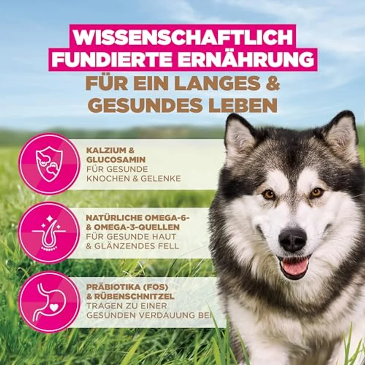 Eukanuba Hundefutter getreidefrei für große Rassen, Premium Trockenfutter mit Fisch und Glucosamin, 12 kg – Bild 5