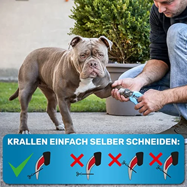 BluePet Profi Krallenschere für Hunde & Katzen, extra scharfer Krallenschneider mit einstellbarer Größe und integrierter Feile zur schmerzfreien Krallenpflege – Bild 4