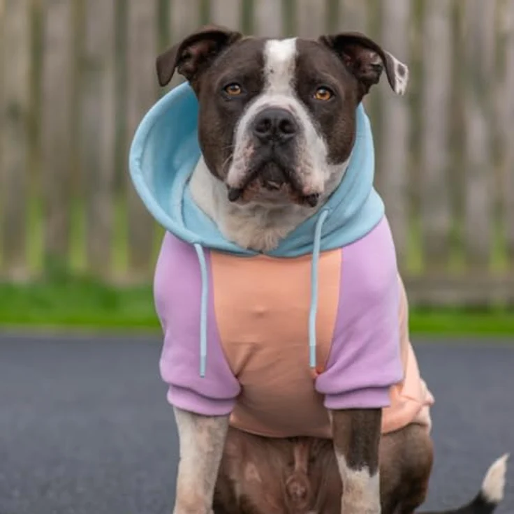 Spark Paws Hunde Hoodie Pullover, Premium Fleece für große Rassen, weich und komfortabel, Kapuzenpulli in Cotton Candy - XL – Bild 4