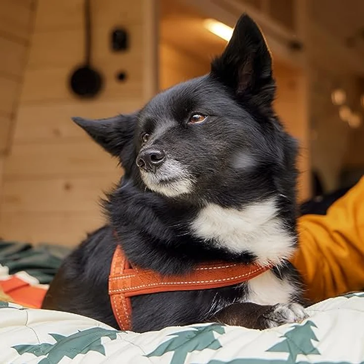 HURTTA Hunde-Geschirr Casual Geschirr raven (schwarz), mit recyceltem Material und 3M-Reflektoren – Bild 4