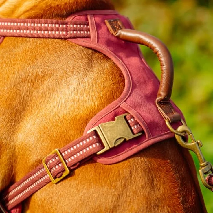 Nobby 52056-01 Geschirr Sporty, stabiles Hundegeschirr in Rot mit ergonomischer Passform, Größe L (Hals: 42-60 cm, Brust: 58-85 cm) und 3 Verschlüssen – Bild 5