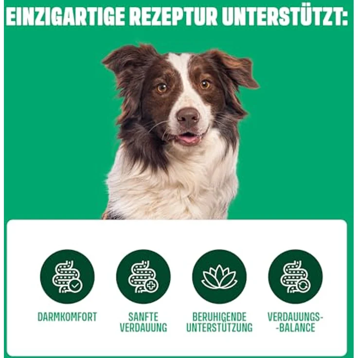 ivvi Ulmus Hundesnacks, Weiche Ulmenrinde Snacks mit Kürbis & Leinsamen, 30% Huhn für sensible Hunde, 270g, 60 Stück – Bild 5