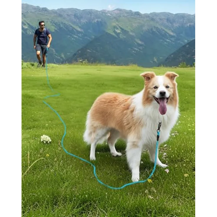 Joytale Schleppleine für Große Hunde, Reflektierende Hundeleine in Blau, 5m-20m lang mit gepolstertem Griff und abschließbarem Karabiner – Bild 5