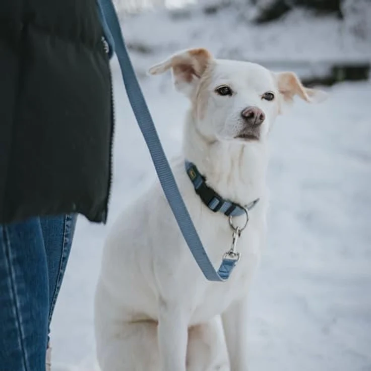 Hunter Tierbedarf Hunde-Halsband Vario-Plus braun, Nylon mit Zugentlastung – Bild 7